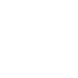 Core38